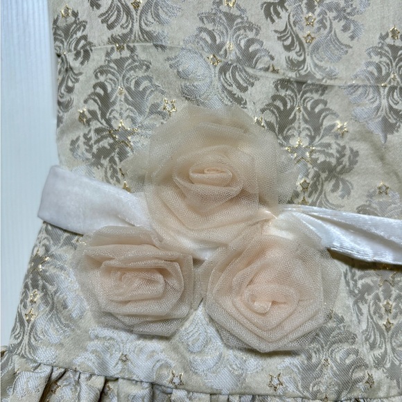 Hard to find American Girl holiday dress set- doll dress and child size 12 dress - Picture 4 of 9